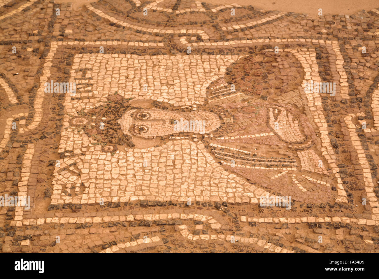 Pisos de mosaicos, Petra Iglesia (también conocida como la Iglesia Bizantina), construido entre el 5º y el 7º siglo DC, Petra, Jordania Foto de stock