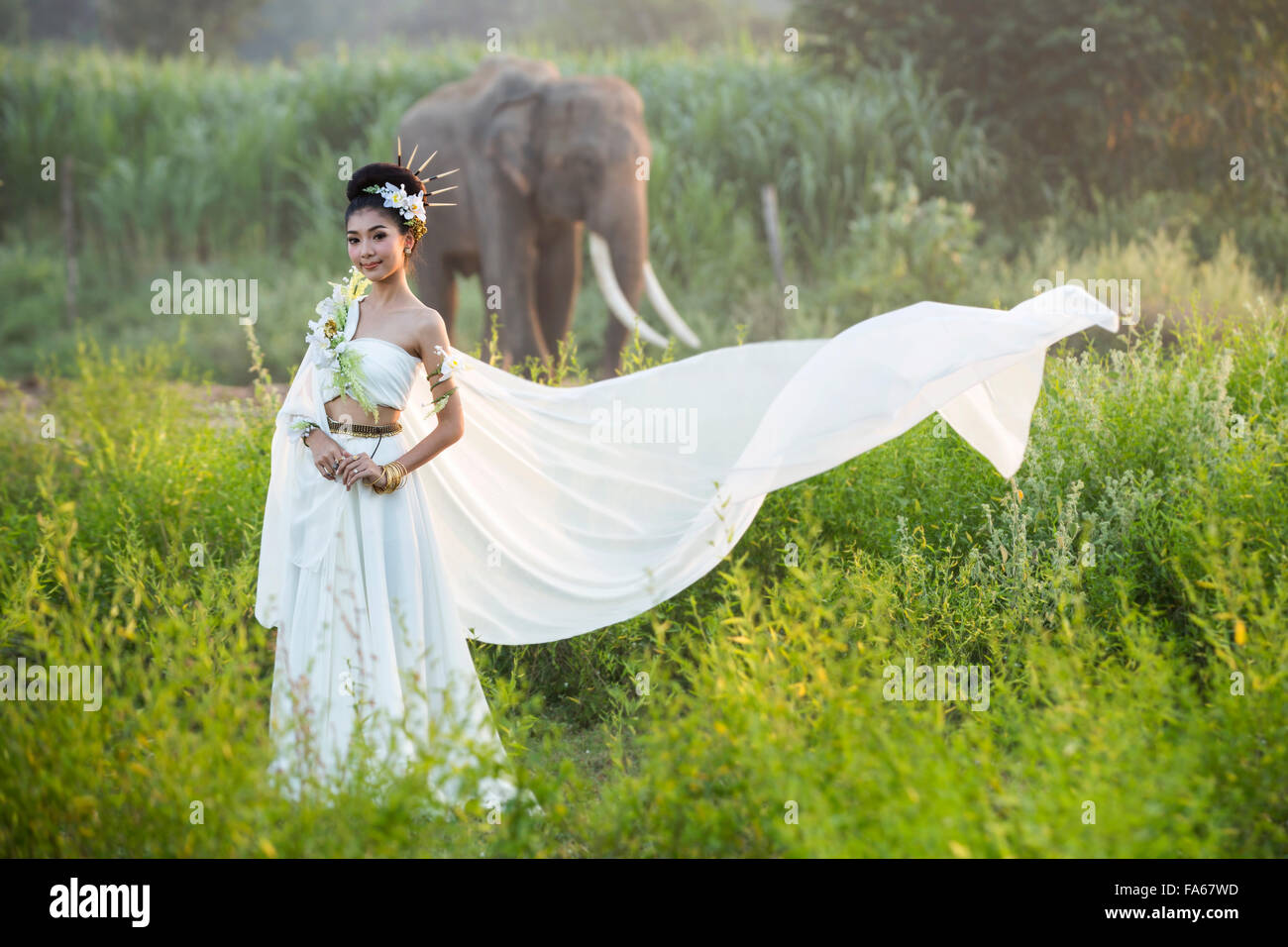 Mujer en vestido blanco de pie en frente de un elefante, Tailandia Foto de stock