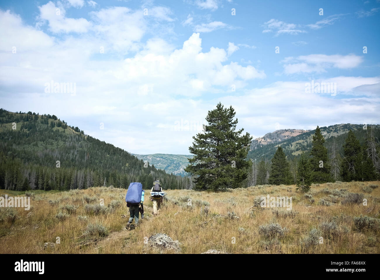 Dos personas de senderismo en las montañas, wyoming, Estados Unidos Foto de stock
