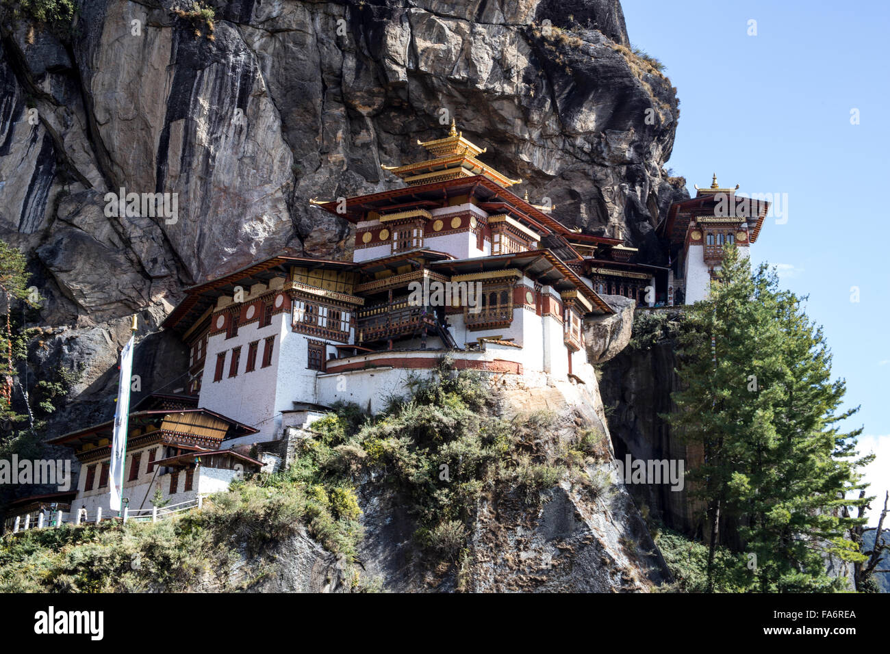 Tigres Palphug Taktsang monasterio Nido de Pájaro Bhután Foto de stock