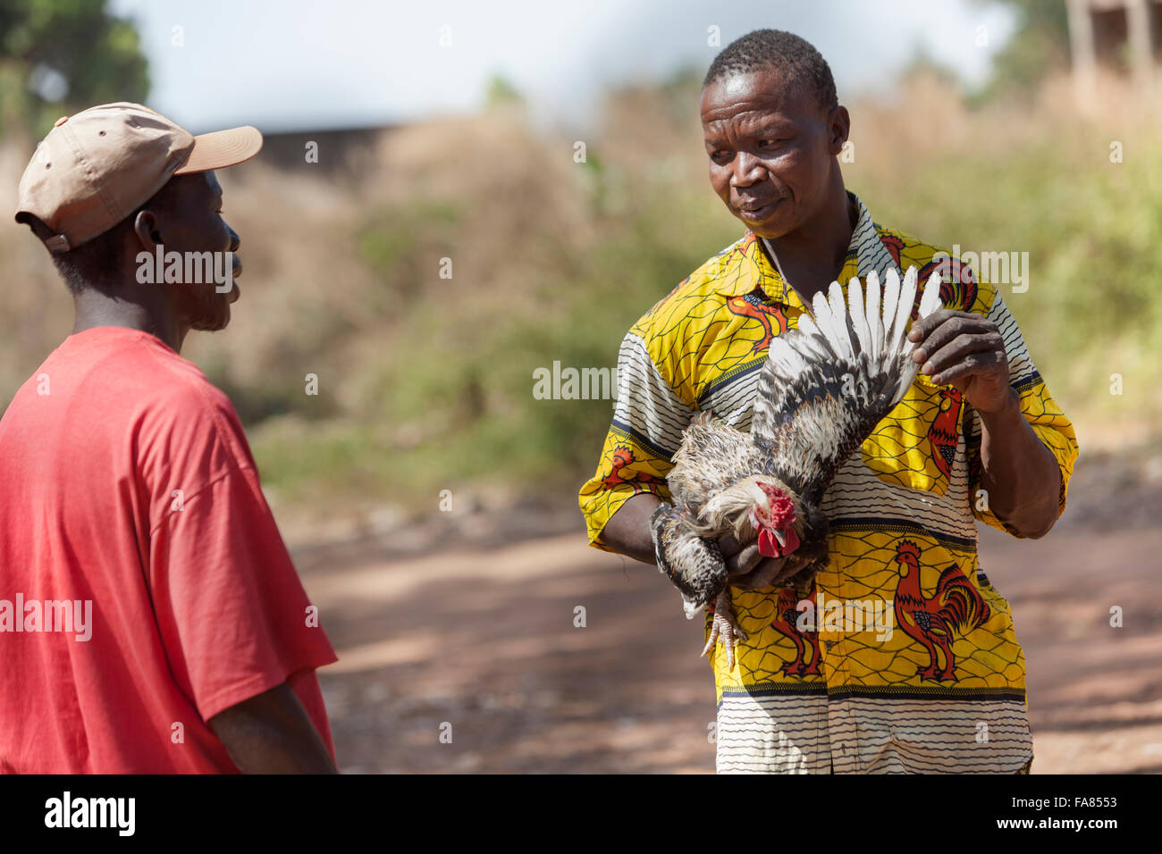 Un vendedor vende pollos en el mercado de aves de corral en Banfora, Burkina Faso. Foto de stock