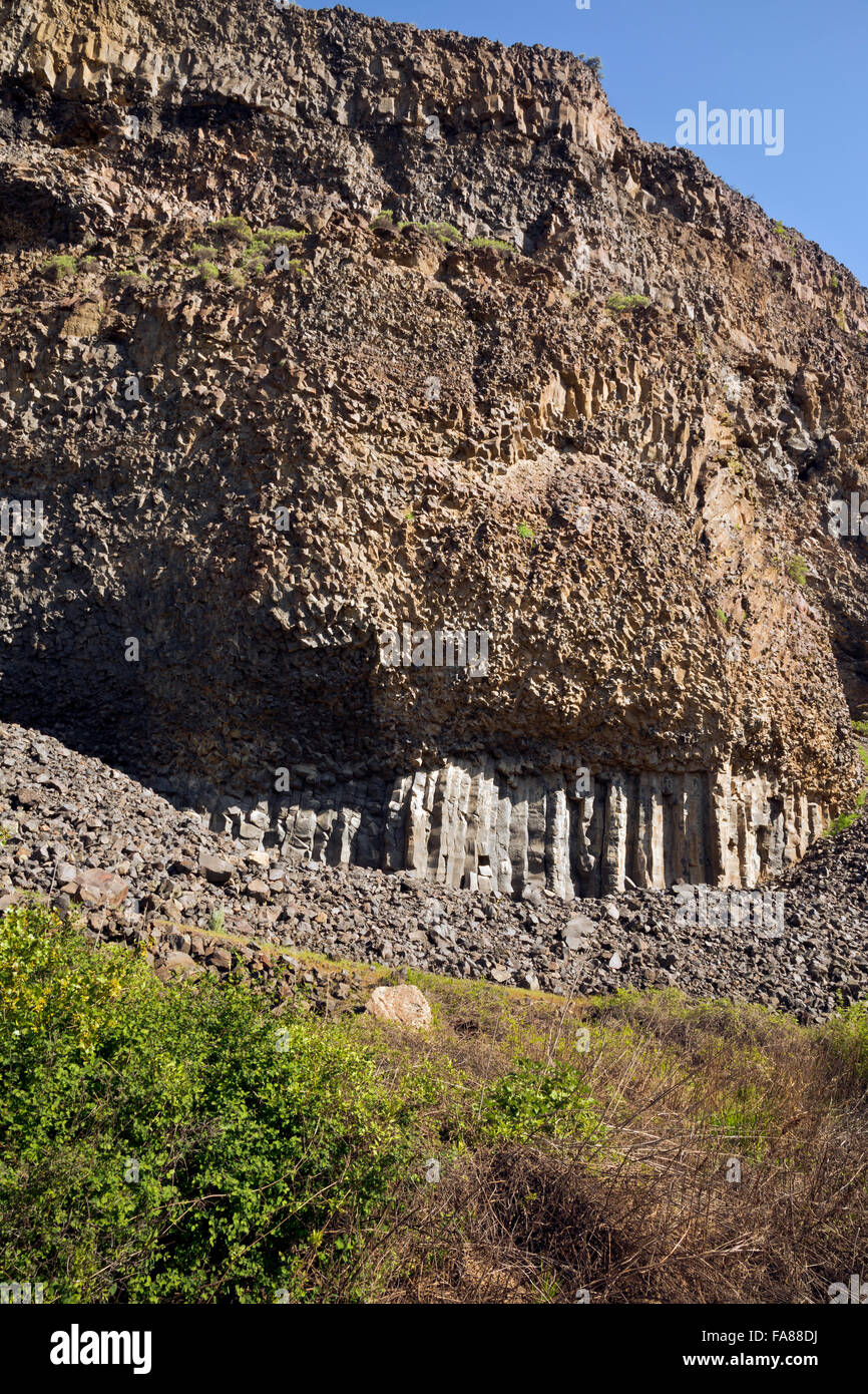 WA12424-00...WASHINGTON - diferentes capas y ángulos de basalto columnar en las paredes del cañón Northrup Reserva Natural. Foto de stock