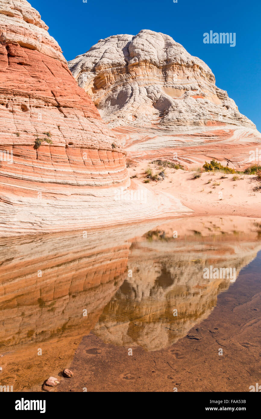 Un estanque de agua de lluvia refleja el único bolsillo blanco remoto y formaciones rocosas en acantilados Vermillion Monumento Nacional en Arizona. Foto de stock