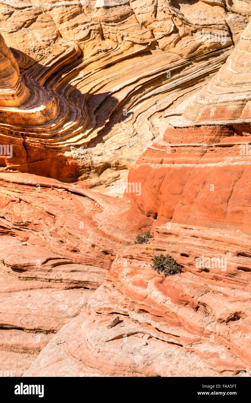 Muchas curvas y curvas únicas rocas en el bolsillo blanco remoto y formaciones rocosas en acantilados Vermillion National Monument en Arizona Foto de stock