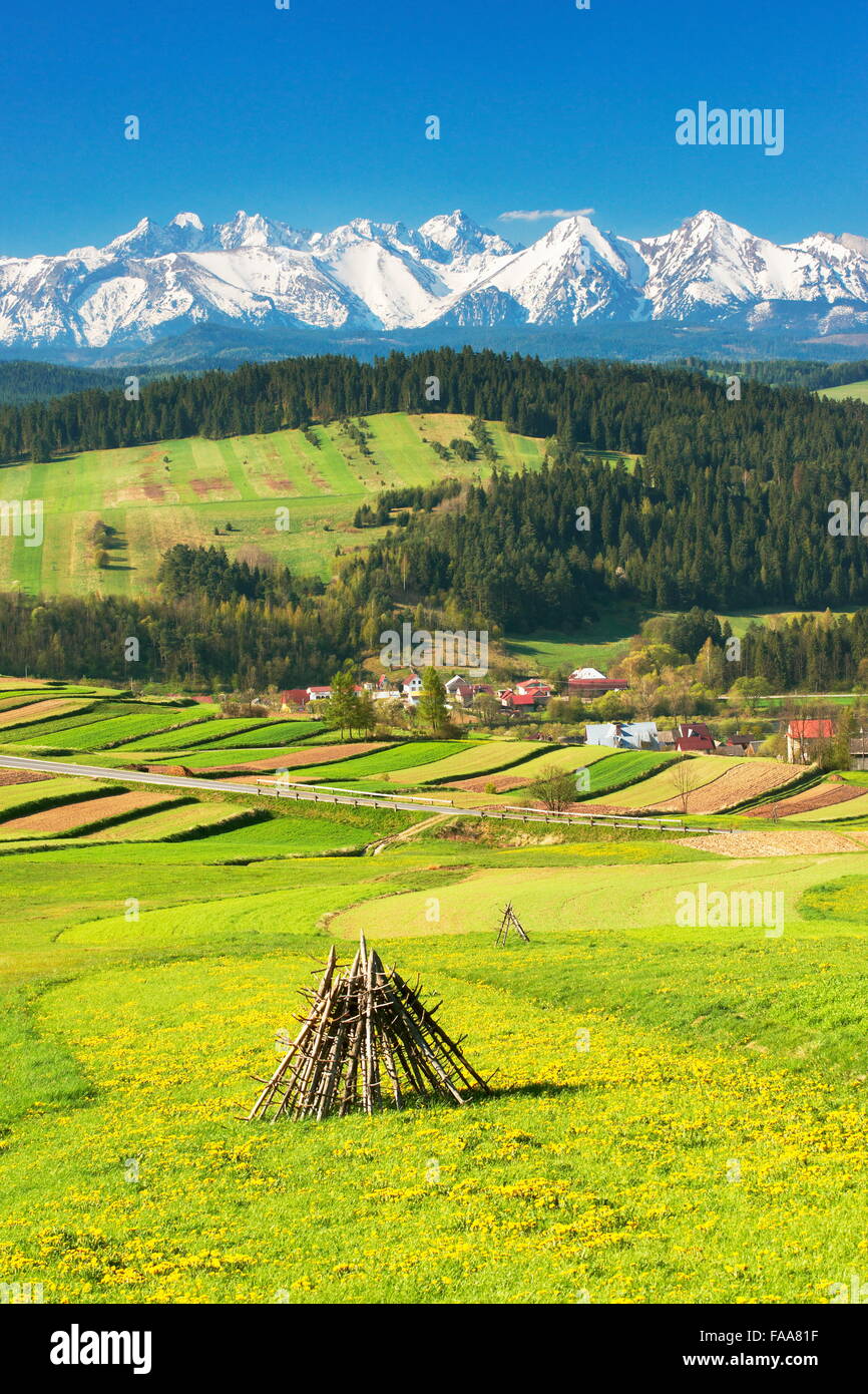 Las montañas Tatra, Polonia Foto de stock