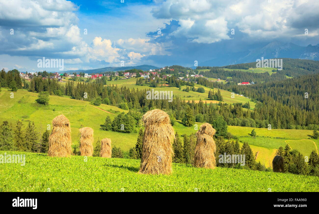 Paisaje cerca de Zakopane, Polonia Foto de stock