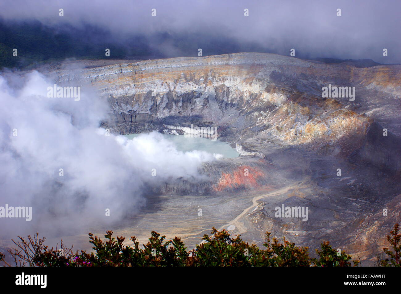 Parque Nacional Volcan Poas, Costa Rica Foto de stock