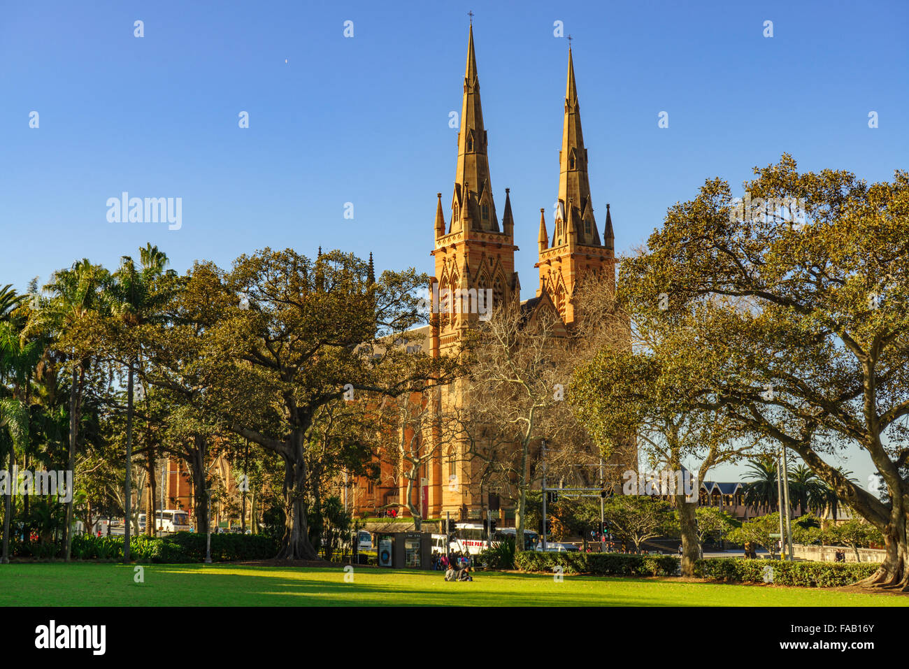 St Mary's Cathedral de Sydney, Nueva Gales del Sur (NSW, Australia. Foto de stock