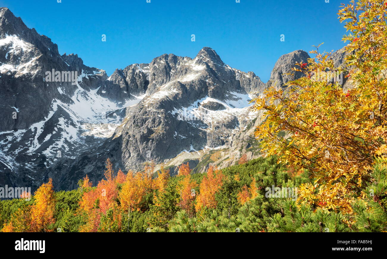 Paisaje de las montañas - Kiezmarska Valley High Tatras, eslovaco Foto de stock