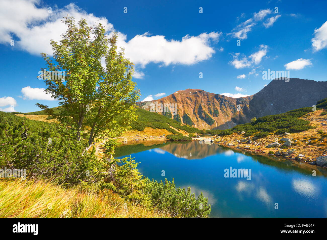 Lagos Rohacske - Altas montañas Tatra, eslovaco Foto de stock