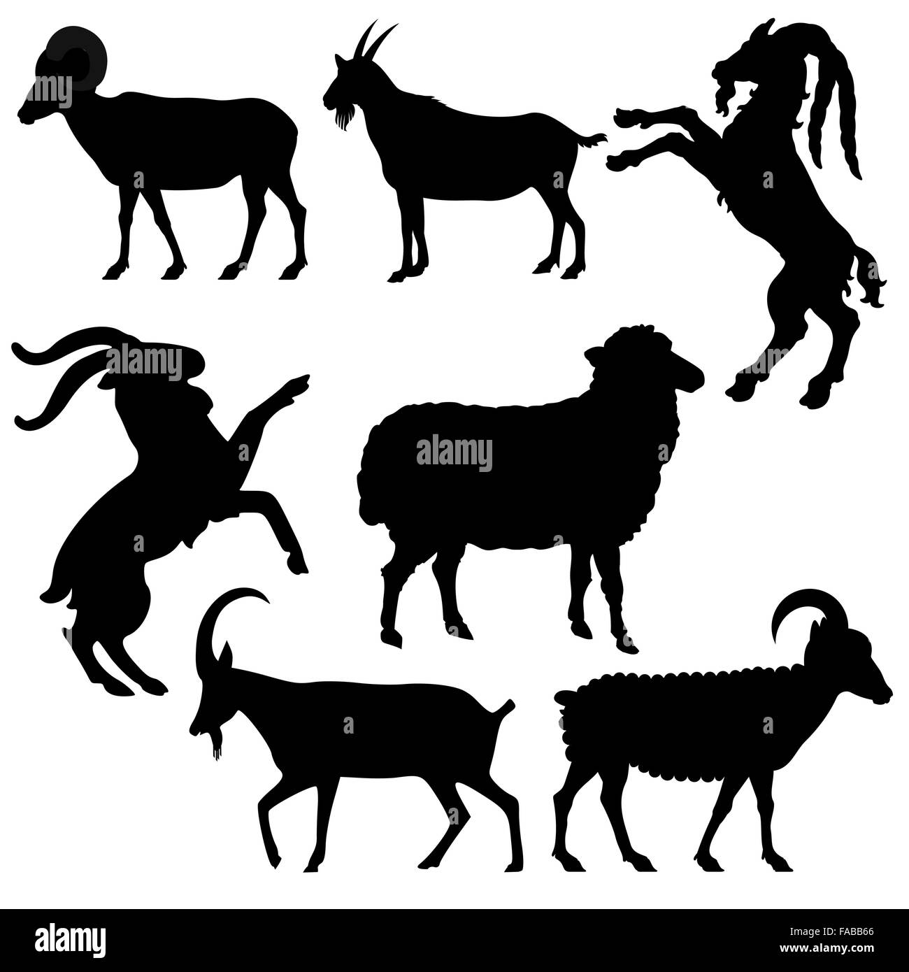 Ilustración vectorial de las cabras y ovejas Ilustración del Vector