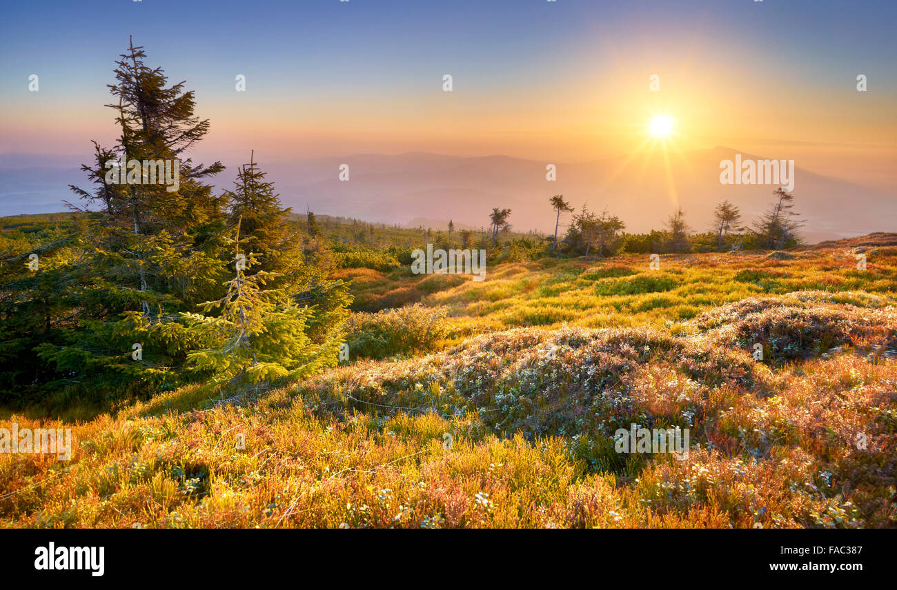 Montañas Beskidy, atardecer en el pico Pilsko, Polonia Foto de stock