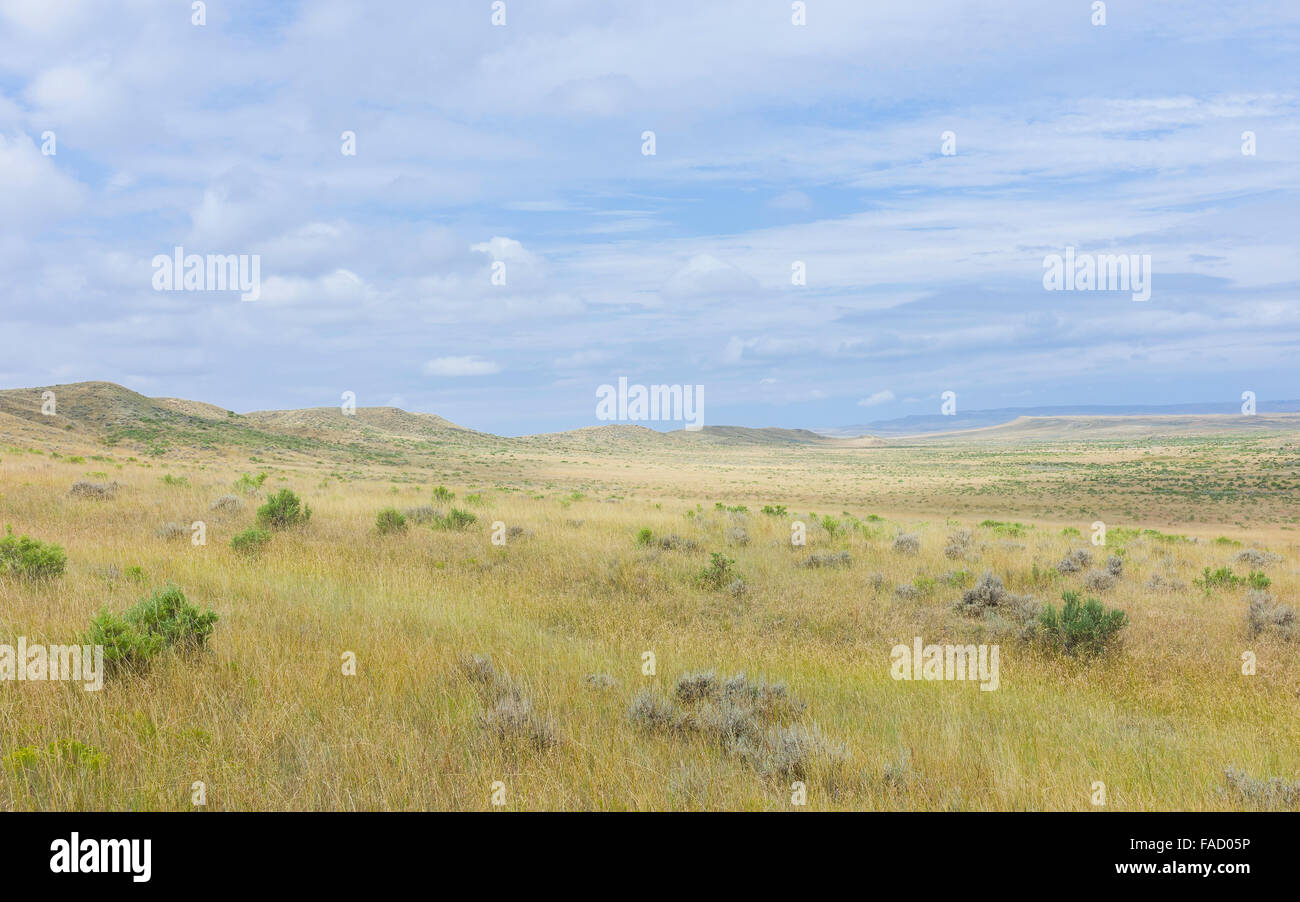 Matorral de la pradera fotografías e imágenes de alta resolución Alamy