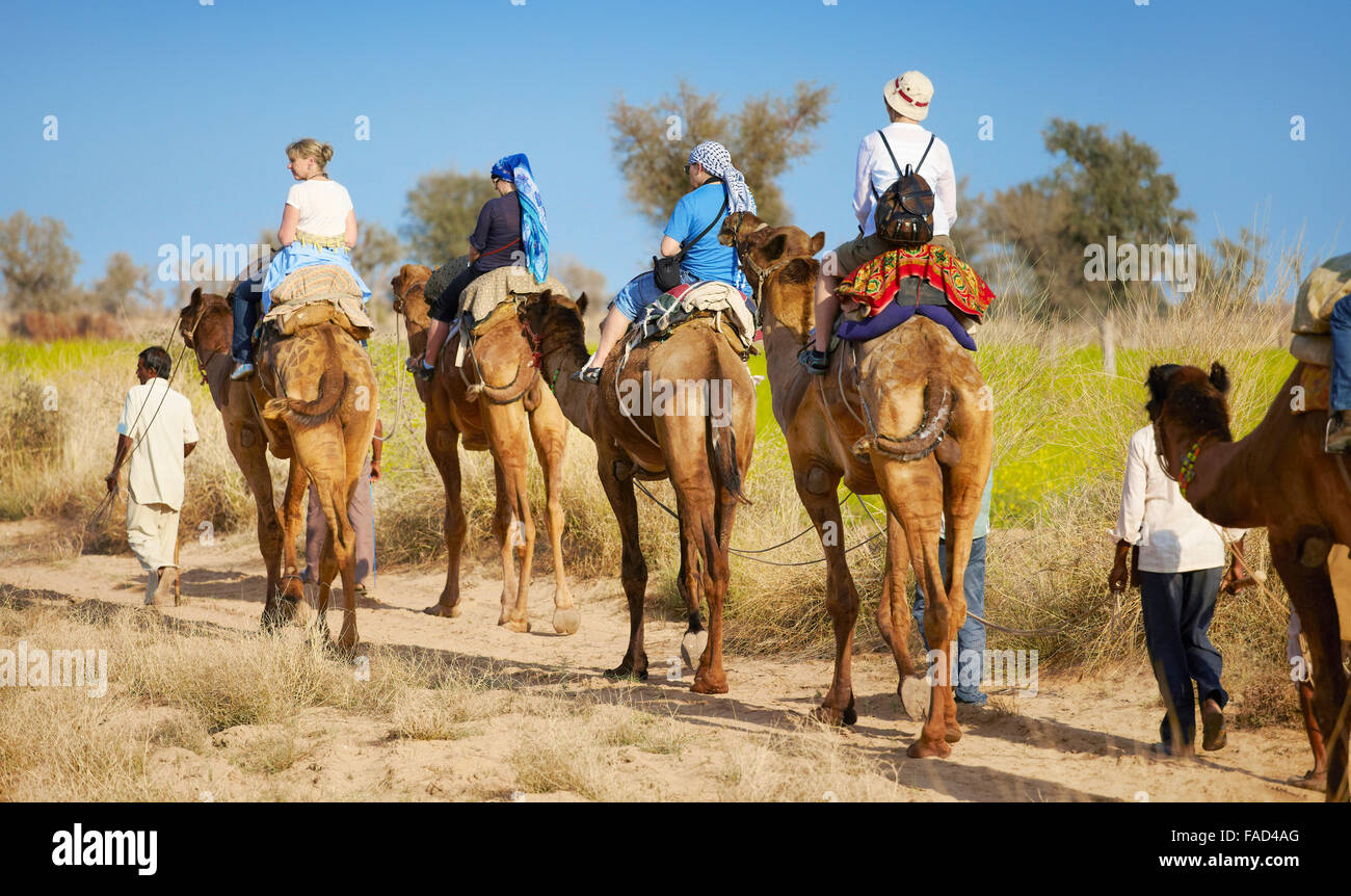 Caravana de camellos safari paseo con los turistas en el desierto de Thar, cerca de Jaisalmer, India Foto de stock