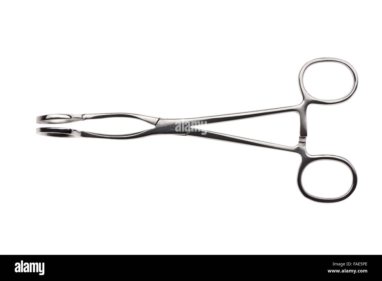 Cierre de acero inoxidable fórceps quirúrgico aislado sobre fondo