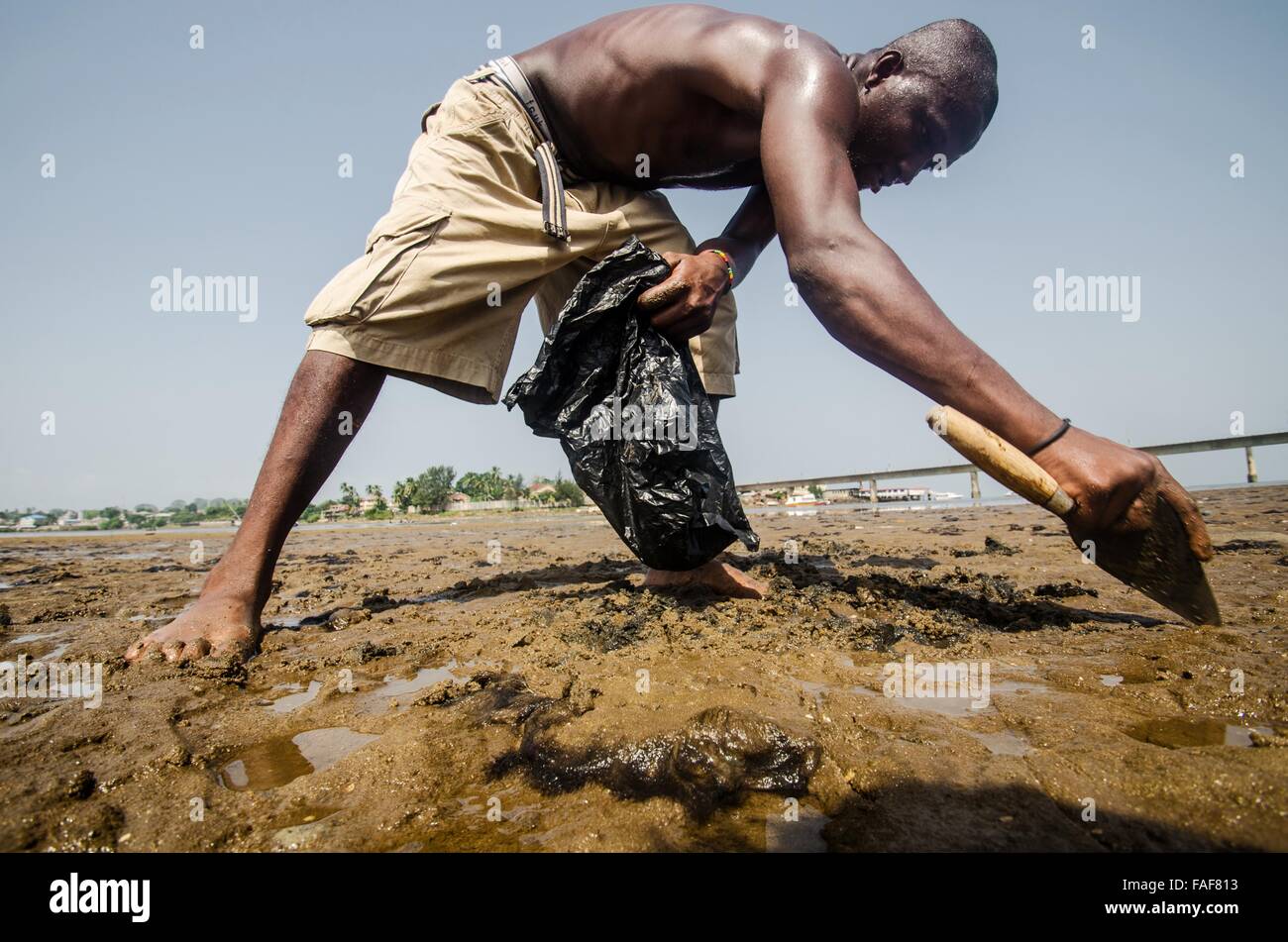 El hombre en busca de mariscos en Aberdeen Creek en Freetown, Sierra Leone. Foto de stock