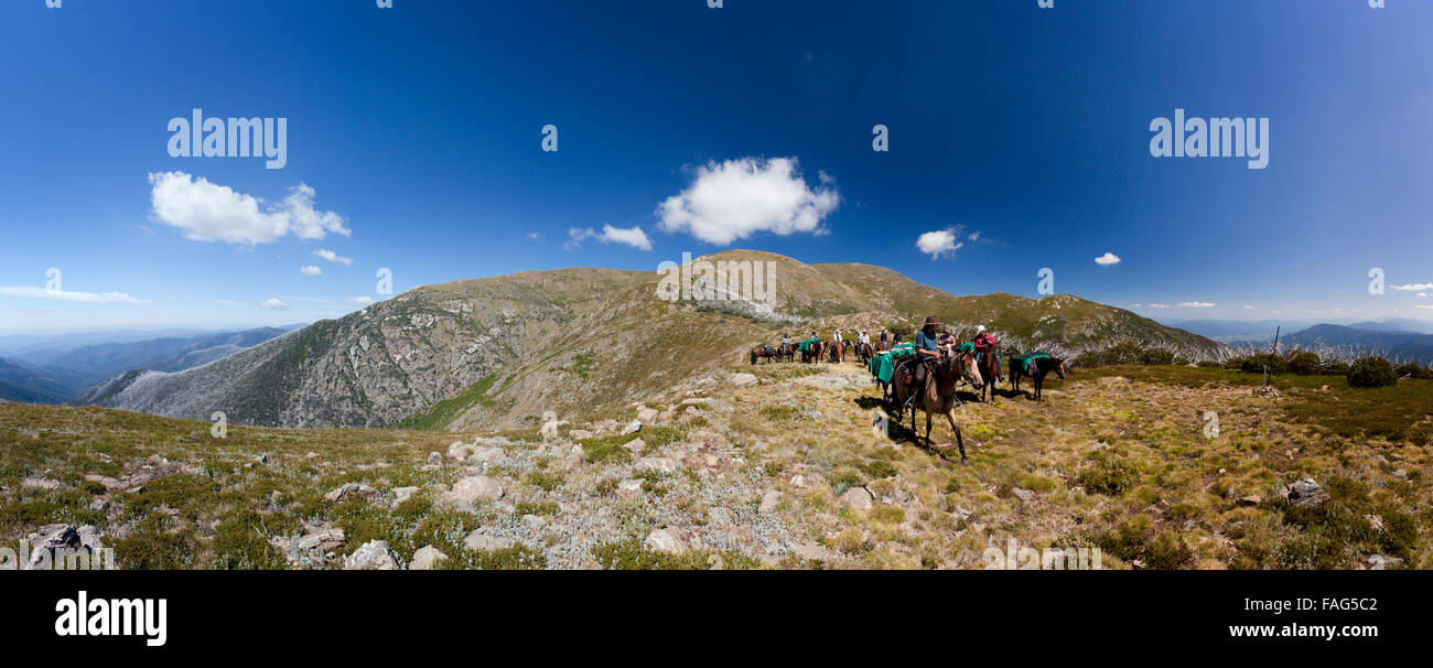 Lin Baird lleva jinetes y packhorses abajo Eskdale acicate para la conclusión de un viaje de 5 días en el Altiplano Bogong. Foto de stock