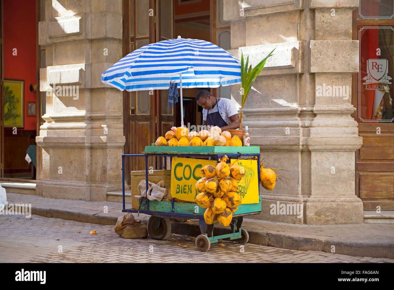 Hombre vendiendo cocos en La Habana, Cuba vendedor callejero Foto de stock