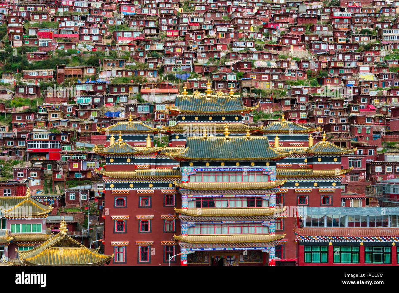 Seda Larong Wuming Instituto Budista, el templo con cabañas de madera roja vivida por los monjes y monjas, Garze, provincia de Sichuan, China Foto de stock