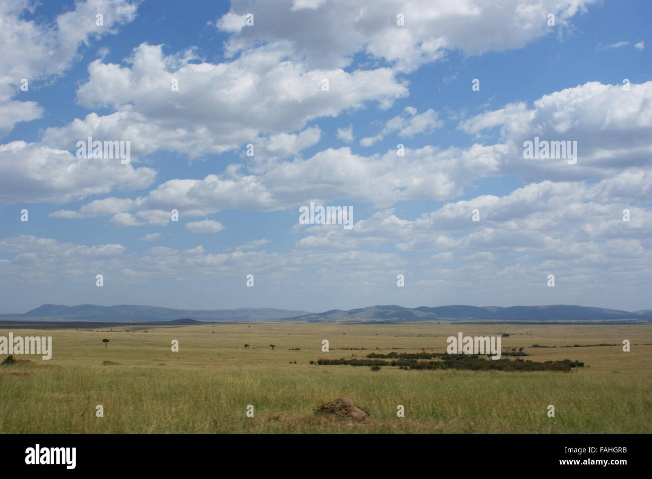Nubes sobre el Masai Mara. Reserva de Masai Mara, al norte de Serengeti Plains, Kenia, África Oriental Foto de stock