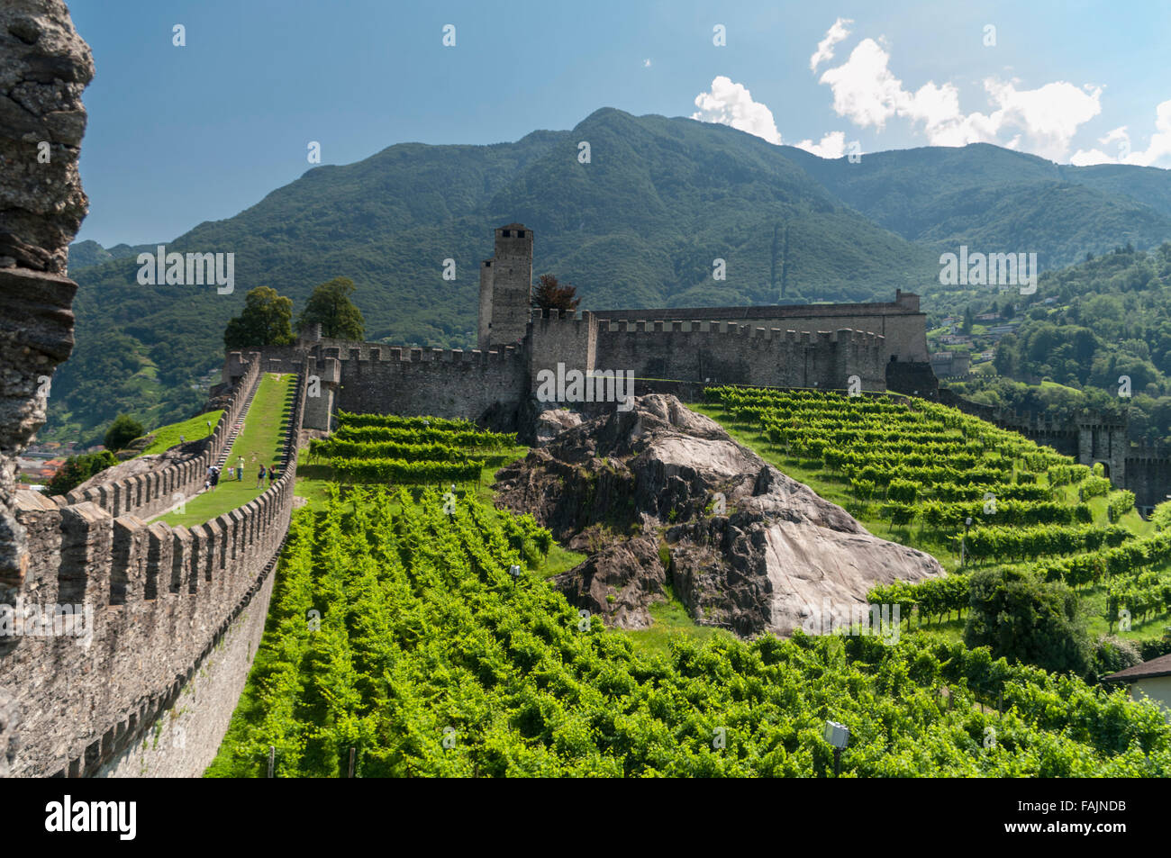 Viñedos y muros con almenas de Castelgrande, uno de los castillos de Patrimonio Mundial de la UNESCO en Bellinzona, Tesino, Suiza. Foto de stock