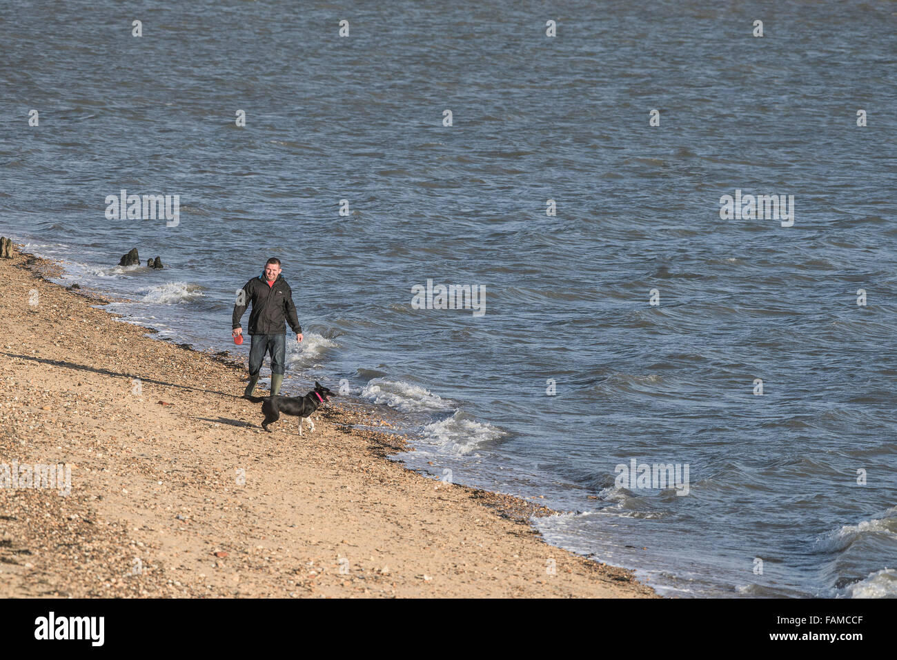 Un hombre camina su perro a lo largo de la costa en East Beach en Shoeburyness en Essex, Reino Unido. Foto de stock