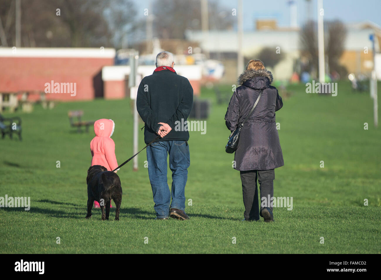 Los abuelos caminando con su nieta - los abuelos caminando con su nieto y su perro. Foto de stock