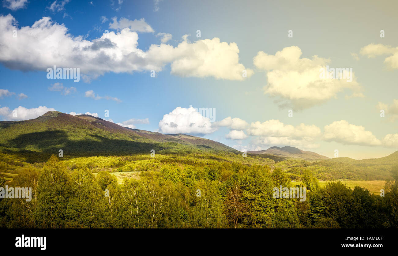 Paisaje de montañas con bosques y pradera en primer plano Foto de stock