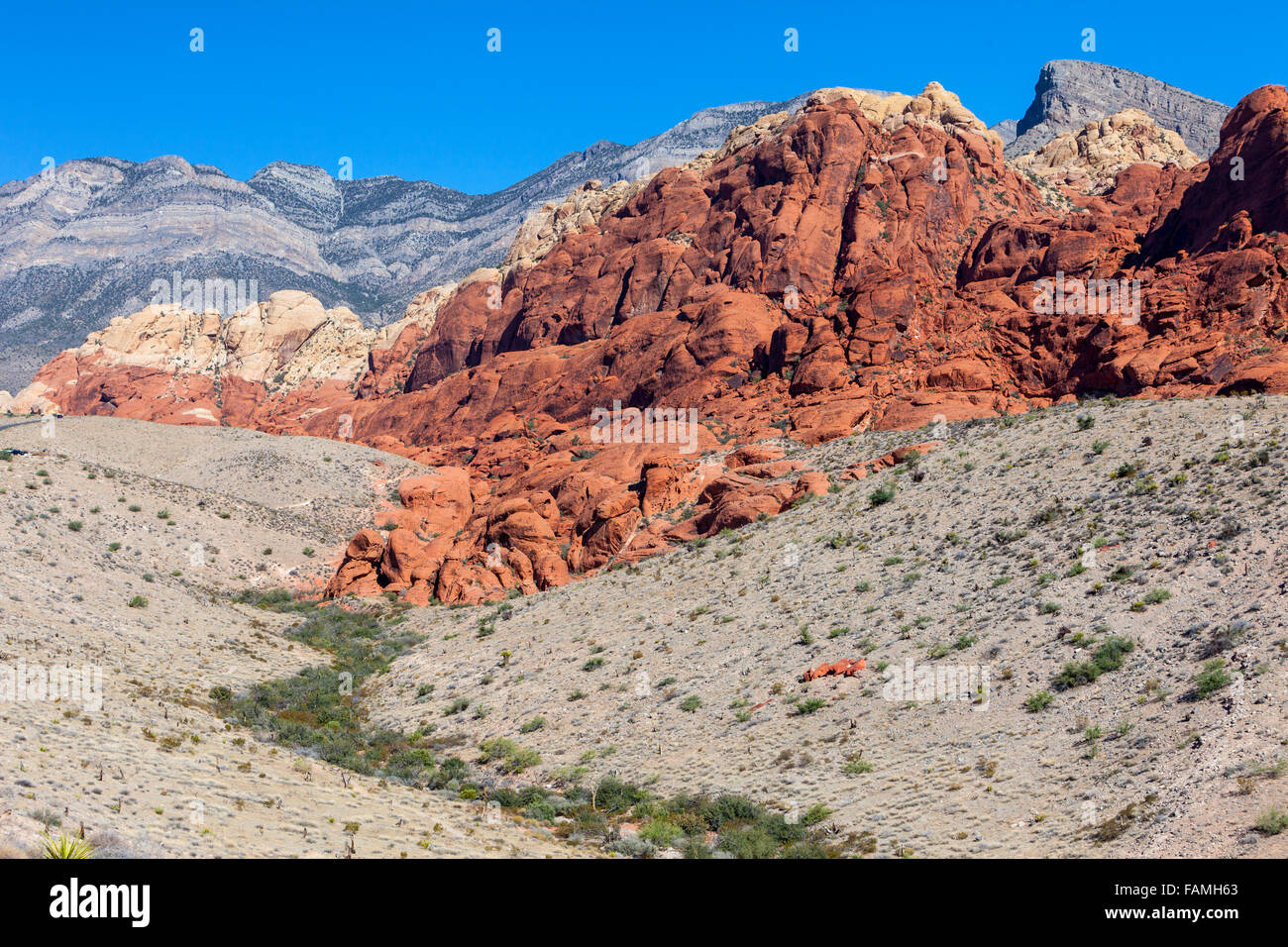 El Red Rock Canyon, en el estado de Nevada. Calico Hills, arenisca azteca. Foto de stock