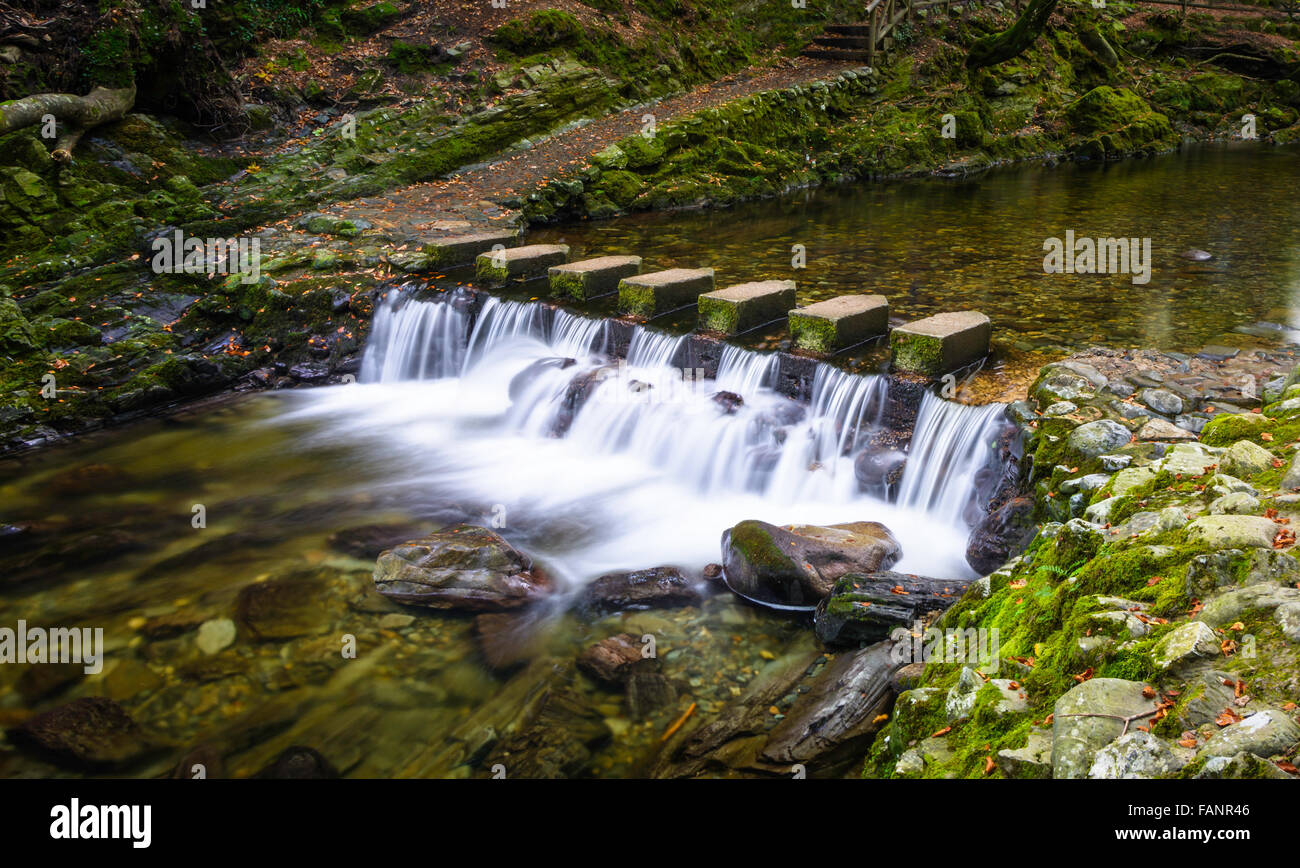 Stepping Stones a través de un pequeño arroyo que corre a través de Condado de Down Tollymore Park, Juego de Tronos filmadas allí Foto de stock