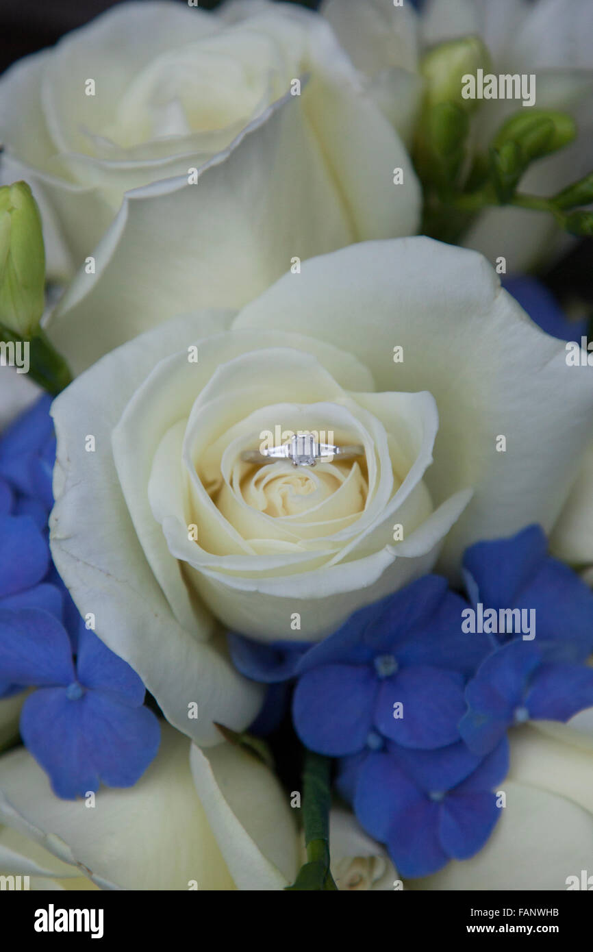 Día de la boda flores blancas y rosas azules con anillo de compromiso  Fotografía de stock - Alamy