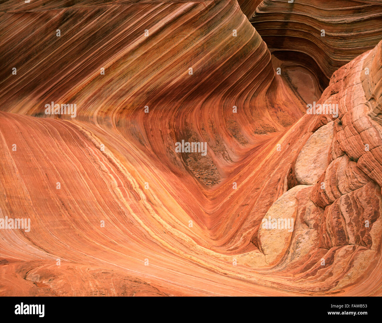 La ola formación de roca arenisca en Coyote Buttes EE.UU. Foto de stock
