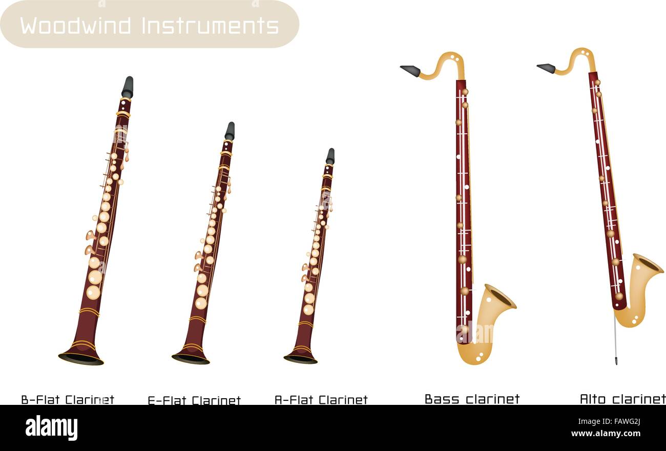 Instrumento musical, diversos tipos de Clarinetes, Vintage marrón B-plana  el clarinete, Mi bemol clarinete, una plana de clarinete, clarinete bajo y  Imagen Vector de stock - Alamy