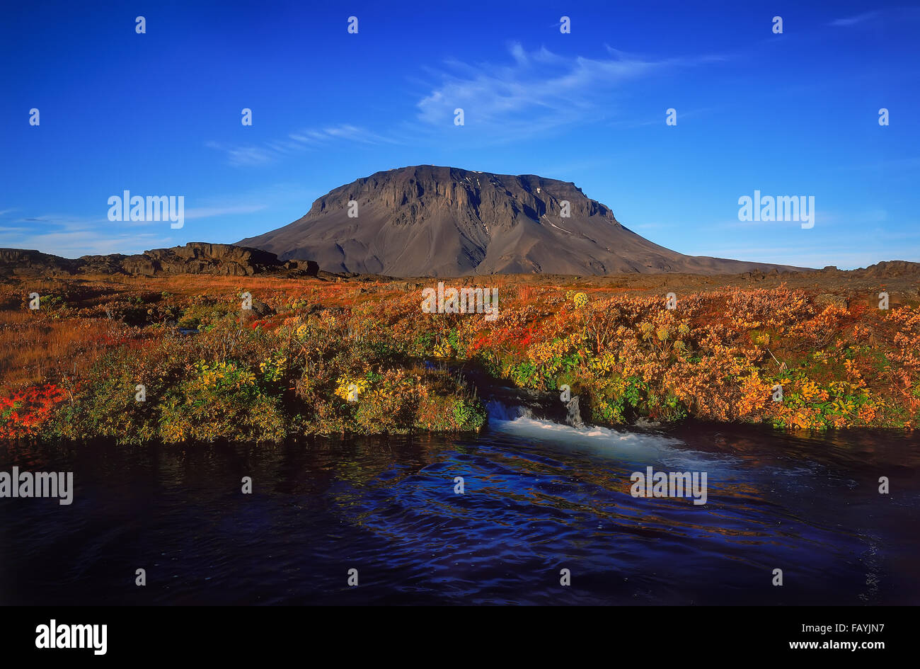 Paisaje otoñal, Mt. Herdubreid, Sierra Central, Islandia Foto de stock