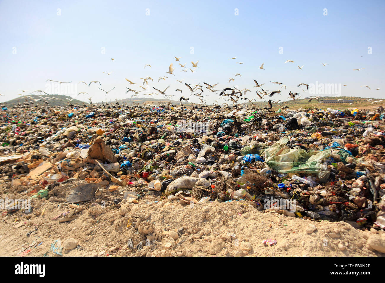 Una topadora está disponiendo los residuos sólidos para un vertedero en Palestina Foto de stock