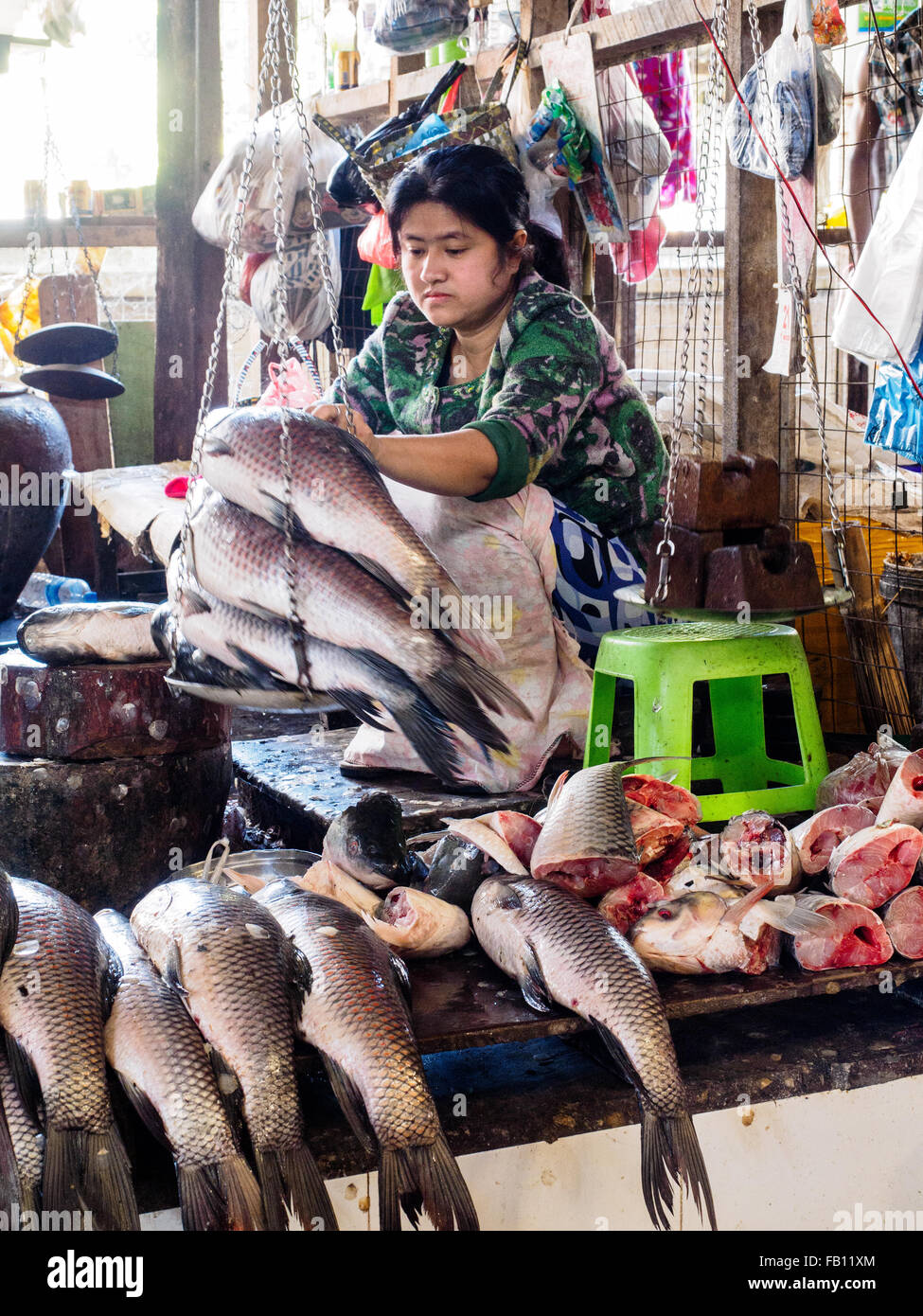 Los pescados de río de pesaje en el mercado de productos frescos de Myitkyina. Foto de stock