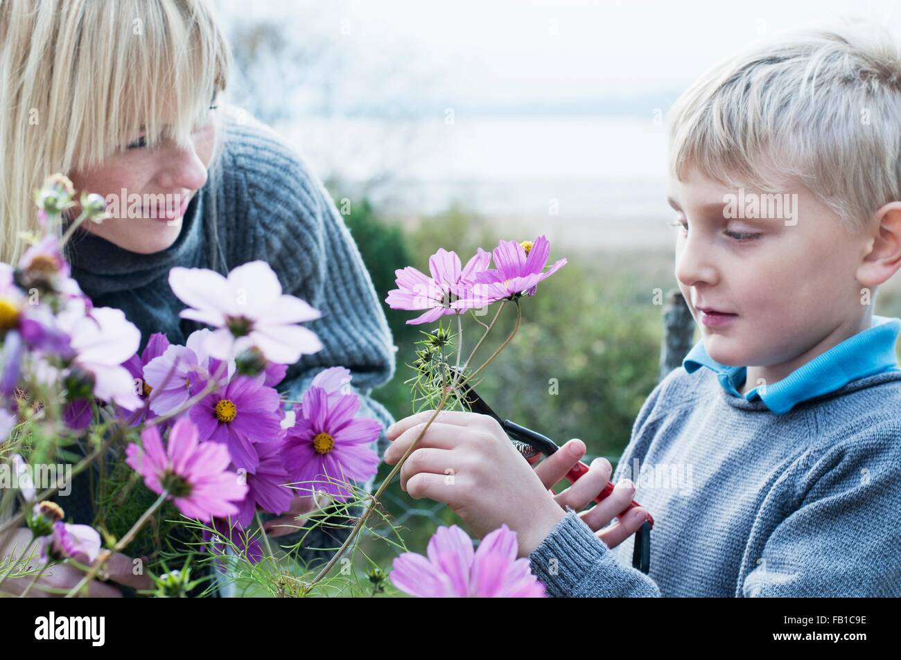 Madre e hijo cortar flores en el jardín orgánico Foto de stock