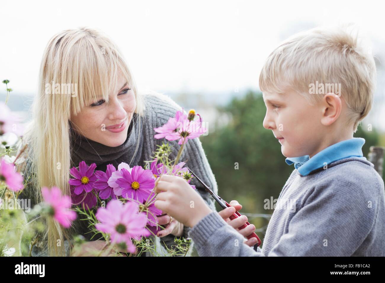 Madre e hijo cortar flores en el jardín orgánico Foto de stock