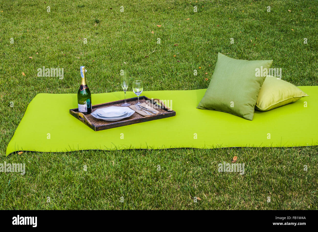 Conjunto de picnic con vino, copas de vino, tejido exterior y almohadas Foto de stock