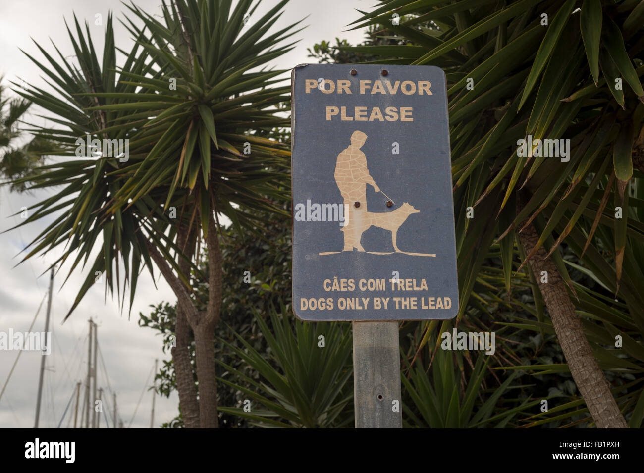 Firmar pidiendo perros para mantenerse en una iniciativa en Portugal. Foto de stock