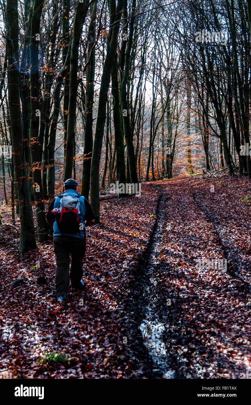 Hombre con mochila de caminar sobre hojas de otoño Foto de stock