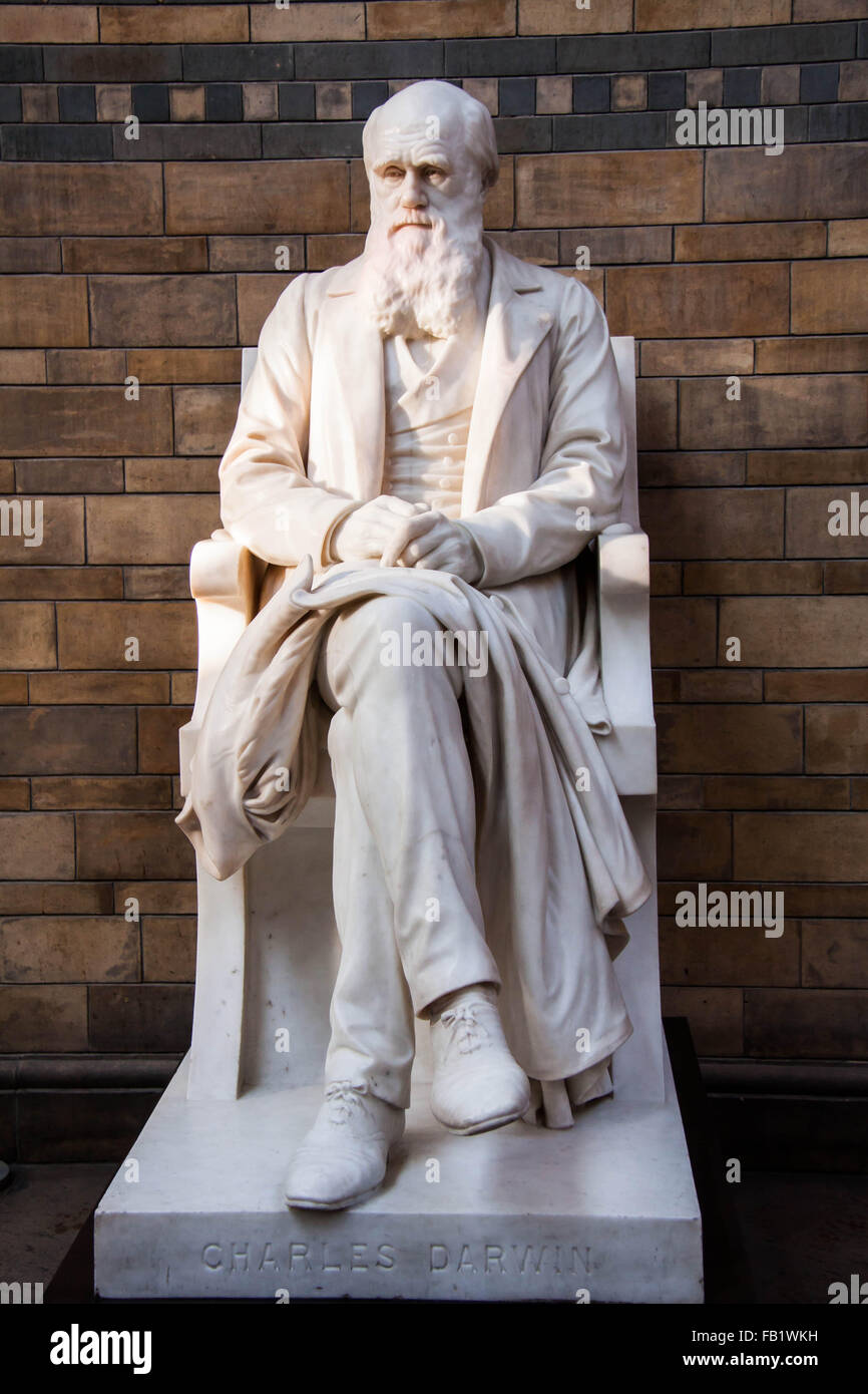 Estatua sedente de Charles Darwin en el Museo de Historia Natural  Fotografía de stock - Alamy