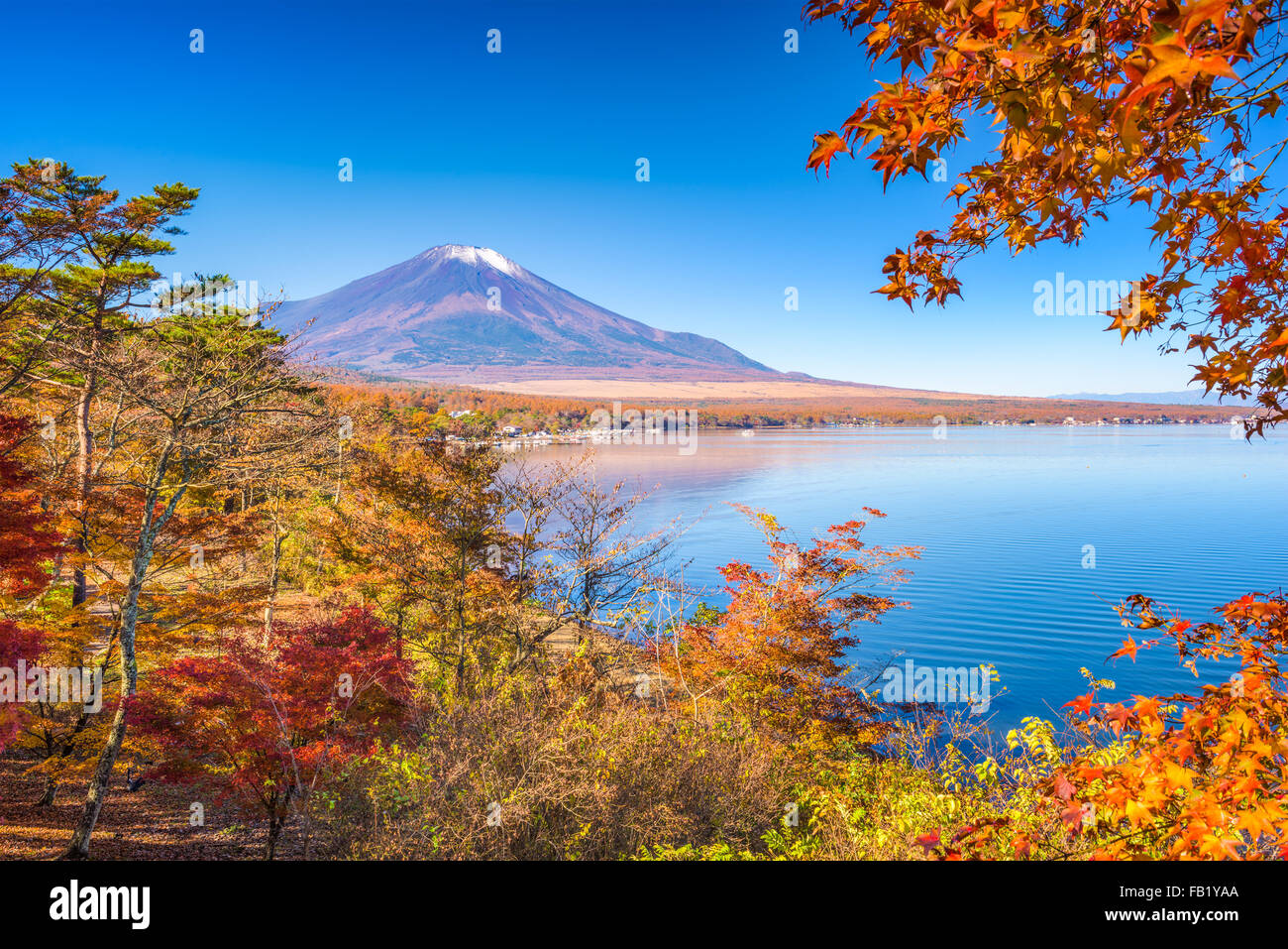 Mt. Fuji, Japón desde el lago Yamanaka en otoño. Foto de stock