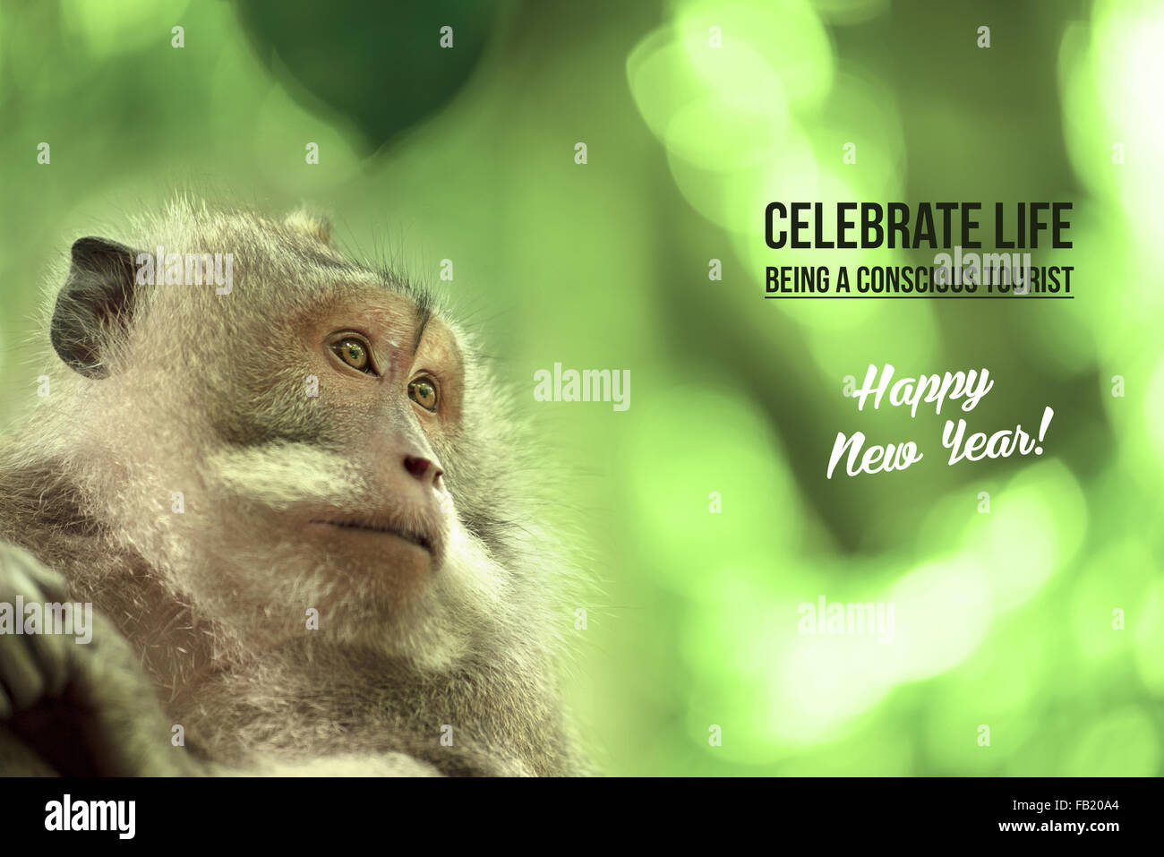 Retrato de monos salvajes en su hábitat natural, feliz año nuevo diseño con texto turismo de conservación de la vida silvestre. Ideal para la campaña Foto de stock