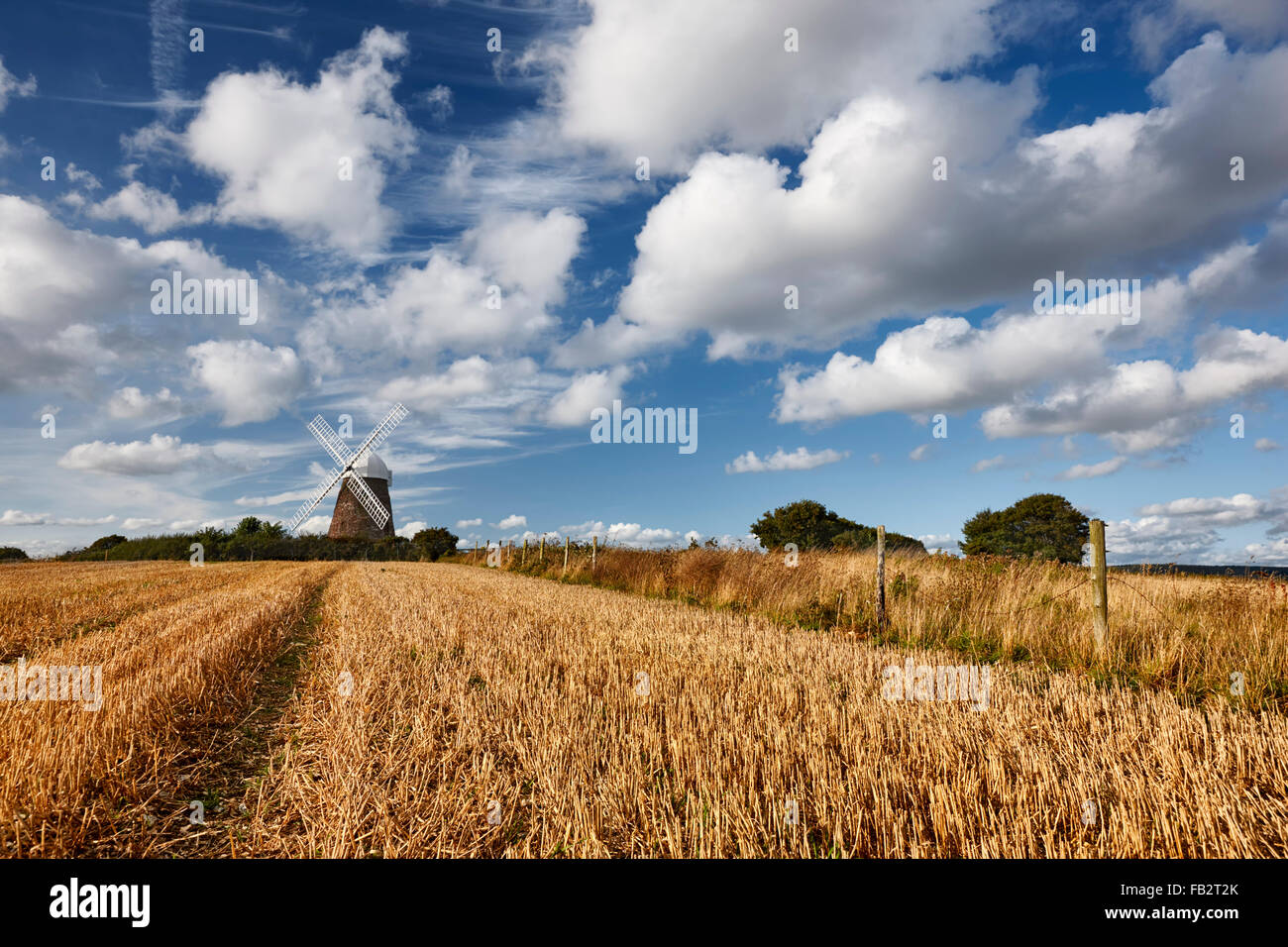 Un hermoso día en veranos Halnaker Windmill. Situado en lo alto de una colina en el Parque Nacional South Downs Foto de stock