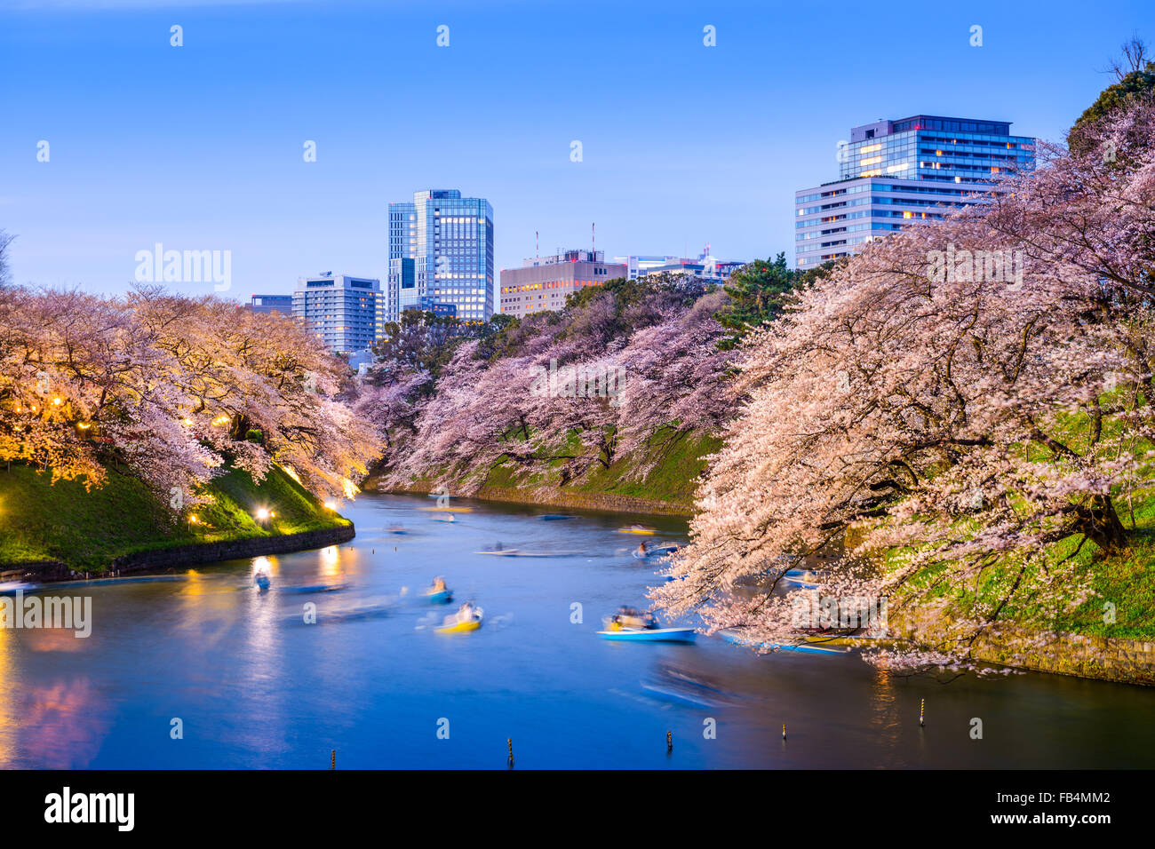 Flor imperial de japón fotografías e imágenes de alta resolución - Alamy Flor imperial de japón fotografías e imágenes de alta resolución - Alamy