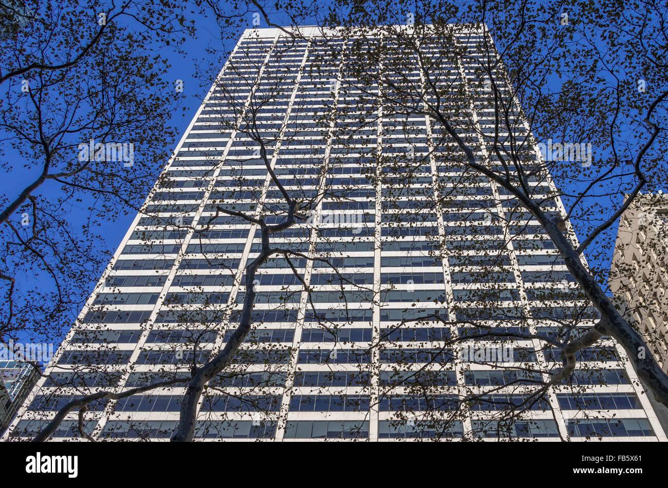 Edificio en Manhattan, Nueva York con árboles en sol de invierno Foto de stock