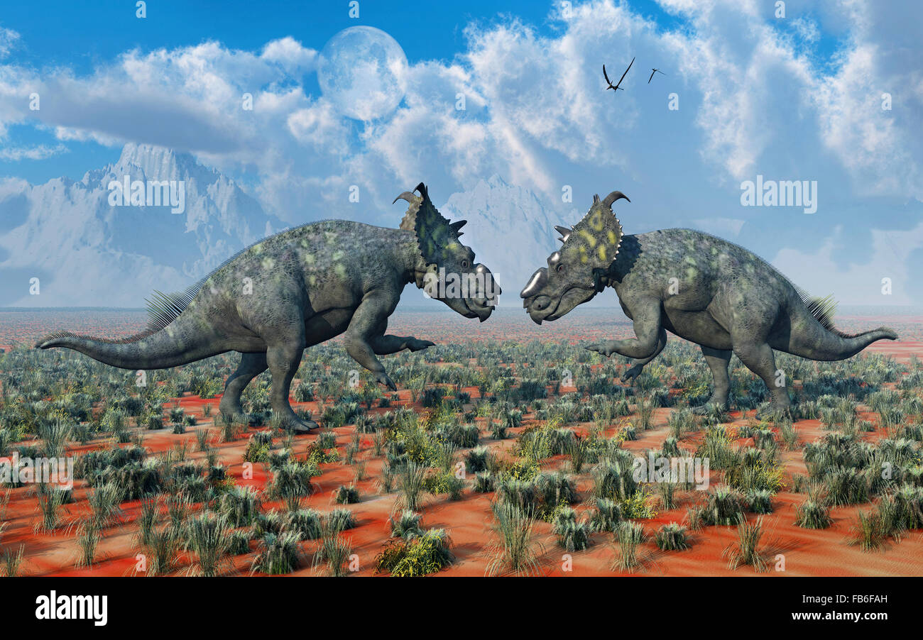 Un par de Dinosaurios Pachyrhinosaurus , en una disputa territorial. Foto de stock