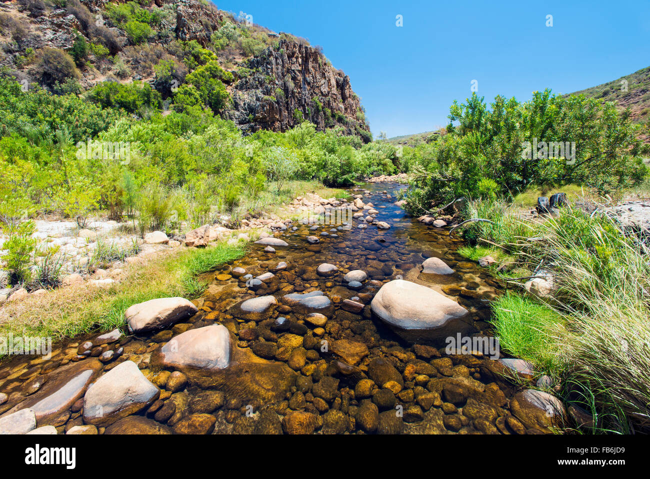 Rondegat río que fluye a través de la zona silvestre de Cedarberg, Western Cape, Sudáfrica Foto de stock