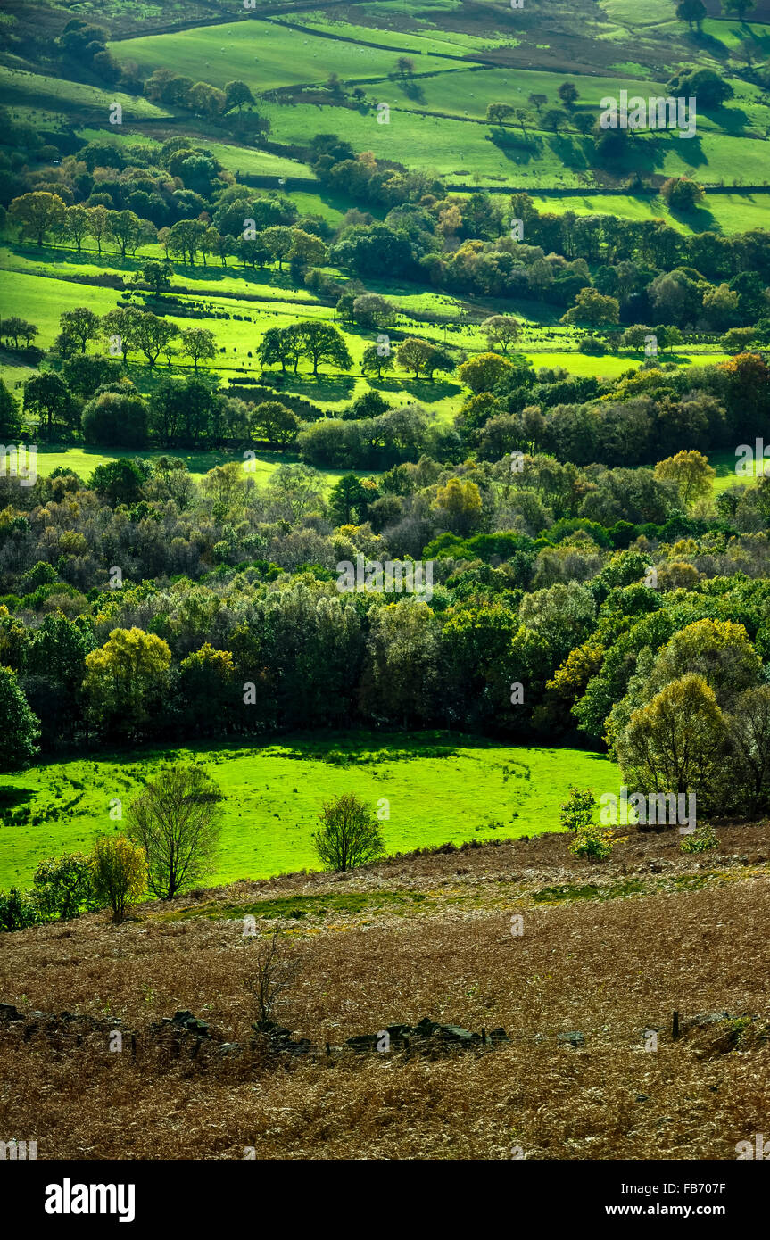 Paisajes verdes en el norte de Derbyshire, Inglaterra en otoño Fotografía  de stock - Alamy